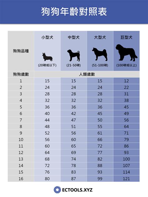 狗 15歲|狗年齡計算